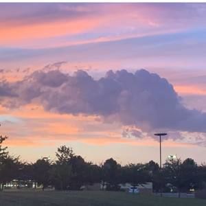 Meet your Posher, Trinity